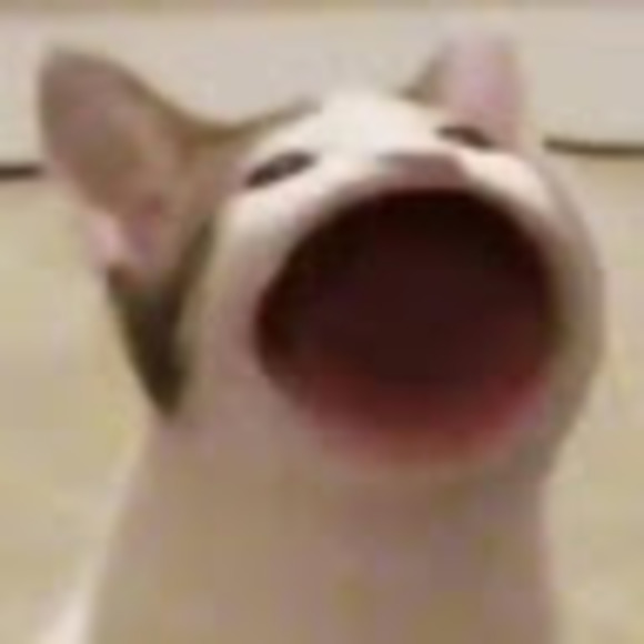 Meet your Posher, Vee - Picture 1 of 1